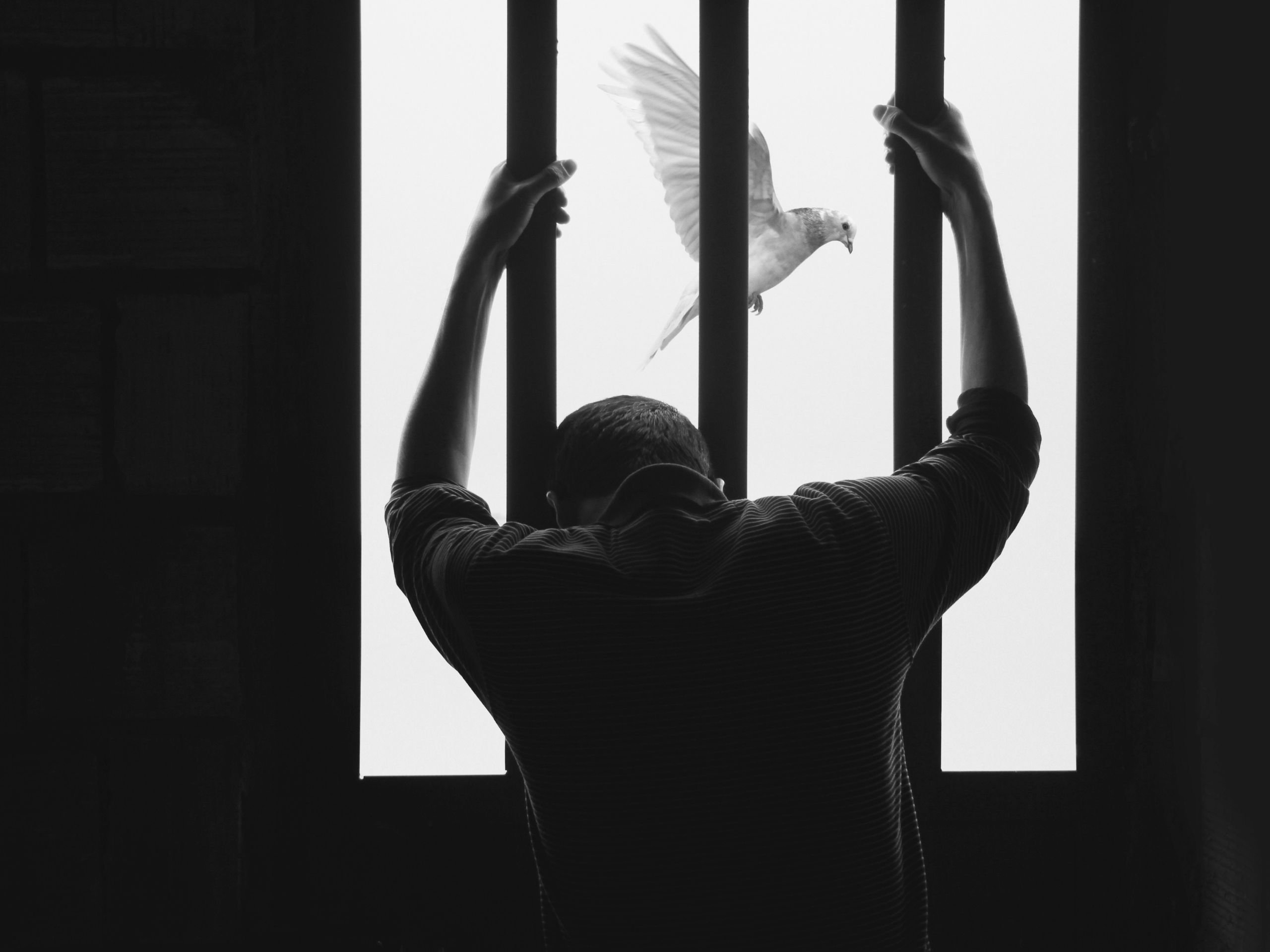 Man holding prison window bars with bird flying outside